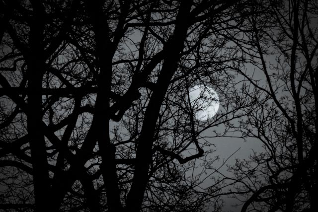 månen...foto: Antoniab © 2015